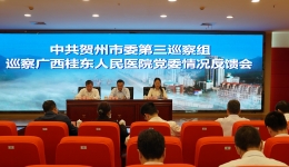 贺州市委第三巡察组向4399js党委反馈巡察情况