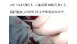 将专业做到极致-4399js胸外篇