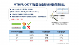 H型高血压基因(叶酸利用能力基因)检测