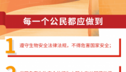 维护国家生物安全，个人有哪些责任？