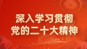深入学习宣传贯彻党的二十大精神