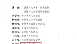 赞!广西壮族自治区桂东人民医院荣获自治区清廉医院建设示范单位