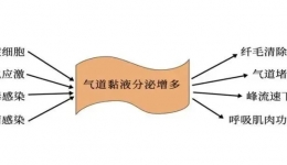 科普丨一不小心把痰吞下去了，对身体有害吗？咳出白痰、黄痰、黑痰又代表啥？