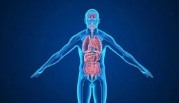 春季抓住长高黄金期，中医助长有方法，让孩子强体质、蹿个儿！