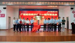 “组团式”医疗帮扶再结硕果 | 桂东北蛇伤救治中心—昭平救治点落户昭平县人民js金沙6038