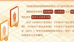 党纪学习教育·每日一课丨党纪责任追究对象方式一览