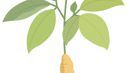 头痛挂什么科？这5种情况千万别忍！马上就医