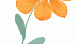 体检报告上的“钙化”，是什么意思？