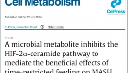 体重管理齐行动（4）丨这些“干饭”改变，不仅控血糖、脂肪肝好转，还有助于减肥→