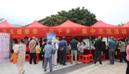 广西桂东人民医院参加贺州市2025年文化科技卫生“三下乡”活动