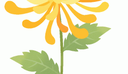 全国老年健康宣传周丨老年人饮食里的“长寿密码”