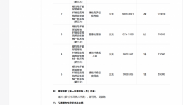 硬性电子输尿管肾镜、纤维经皮肾镜等设备器械一批采购（第三次）成交公告