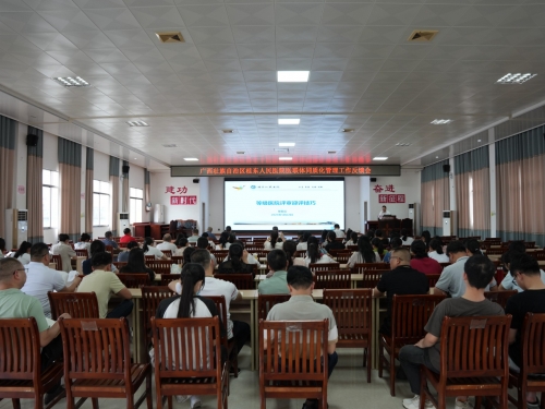 全国实践案例！广西桂东人民医院党建工作案例获评“2025年党建引领公立医院文化建设实践案例”