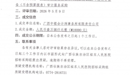 广西壮族自治区桂东人民医院2025年度财务报告审计服务成交公告