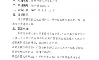 广西壮族自治区桂东人民医院弱电拉线工程业务外包流标公告