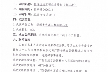 广西壮族自治区桂东人民医院弱电拉线工程业务外包（第三次）项目成交公告